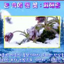 최*춘 - 가평군 백둔로 | 최*춘