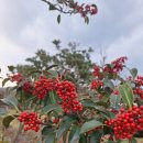 선흘에 머물다 이미지