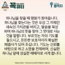 콩깍지 이미지