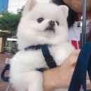 카페 태도 이미지