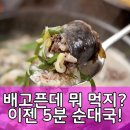 청약국 | 순대국은 이제 집에서? 극소수 순대국, 삶의 질 상승템!