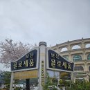 새보문식당 | 경주 시티투어버스 코스 보문 콜로세움 카페 식당 주차장