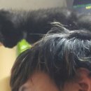 쭈쭈농장 이미지