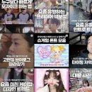 영상 편집 어렵다면? 내돈내산 만족100% KNOCK 노크 영상 편집 강의안 3개 비교 후기 + 구매 전 체크리스트