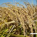 구만리농장 이미지