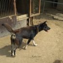 모노 (MONO) 이미지