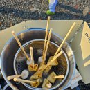 비타민 팜 오토캠핑장 이미지