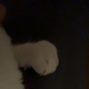 수타루