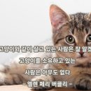 몽키바나나 이미지