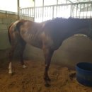 (주)씨앤씨홀스넷 이미지