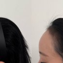 도트바이림 이미지