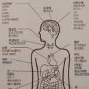 경혈테라피 이미지