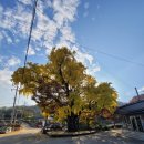 대흥민속 이미지