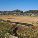 국가산단대로 이미지