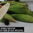 압력솥 옥수수 맛있게 삶는법 삶는시간 옥수수 삶기 뉴슈가 찰옥수수 찌는법 여름간식 이미지