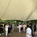 위아피티
