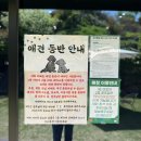 전주카페수목원 | 전주 대형카페 수목원 카페 본점 애견동반가능 소규모 모임 추천