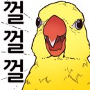 오늘부터애간장 이미지