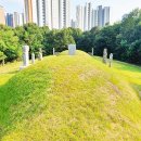조기수 묘역 Daum카페