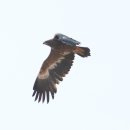 군무 2022-1 이미지