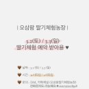 오삼~팜 이미지