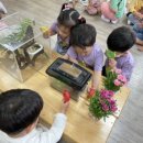 애니멀스쿨 이미지