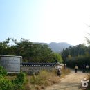 배동삼릉 이미지