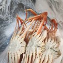 하이캐슬리조트 | 26년 1월 24일 하이캐슬 리조트 방문후기