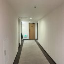 세미약국 - 대덕구 중리북로 41 | [다카마쓰 숙소] 리가 호텔 제스트 다카마쓰/ 위치와 가성비 다 잡은 세미 더블룸 후기