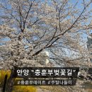 박달빗물배수펌프장 | 🌸 [실시간] 안양 충훈부 벚꽃길 개화 현황, 이번 주말이 절정! (주차/꿀팁)