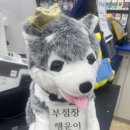 애니타임로또 이미지