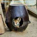 전주동물원 이미지