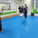 용인대성서태권도 이미지