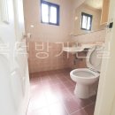 효성동물병원 이미지