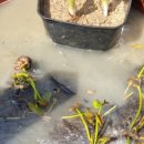 마이티농장 이미지