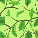 자연식품 이미지