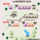 노산팔경캠핑장 B구역 파쇄석6 후기 서울근교캠핑장 단풍캠
