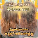 경기도 수원시 권선구 경수대로369번길 20 (권선동) | 수원 권선동 미용실에서 겨울철 긴머리 히피펌 헤어다이아 수원인계프리미엄점