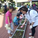 황산초등학교 이미지