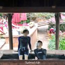 주식회사 망고소프트(제작-9호) | (아속역 호텔) 5성급 리조트, 방콕 쉐라톤 그랑데 스쿰빗 트윈룸 + 수영장 후기