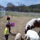 재민목장 이미지