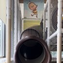 대명관광호텔 | 아이랑 호텔 고를 때 저는 이것만 봐요 36개월 미만 유아 데리고 6곳 다녀온 기준