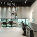 어니스트헤어 이미지