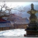 순천-38호 이미지