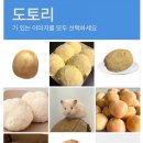 태평빌딩 A동 | 말짱 도토리묵