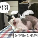 천사냥 이미지