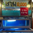 광장회직판장