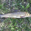 (주)보성 이미지