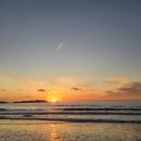 비비오네 이미지