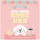 콩이랜드 | 오산 먼치킨분양 후기 | 유앤미펫에서 만난 작은 행복 ‘콩이’